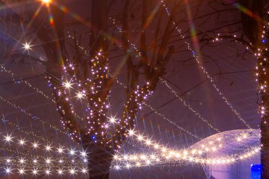 Kış parkı gecesi, konser köşküne doğru yaylı ışıklarla sarılı.