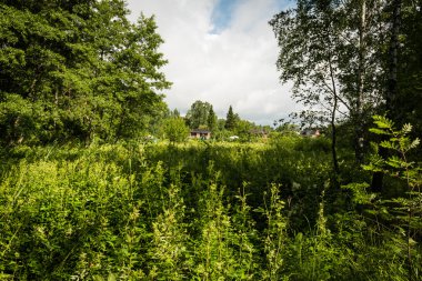 Orman açıklıkta küçük evler