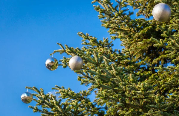 毛绒绒的云杉树 外面蓝天衬托着圣诞装饰品 有选择的重点 文字空间 圣诞节背景 — 图库照片