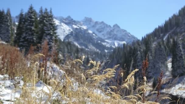 Une vue panoramique de belles montagnes enneigées sur le paysage fascinant solaire puissant — Video