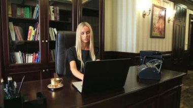 Bir pahalı lüks ve zengin iç kaymak içinde laptop çalışan başarılı iş kadını