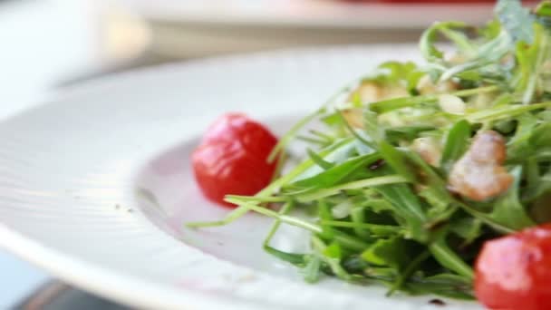 Ruccola paradicsommal és marha hús steak saláta friss élelmiszer bemutatása — Stock videók