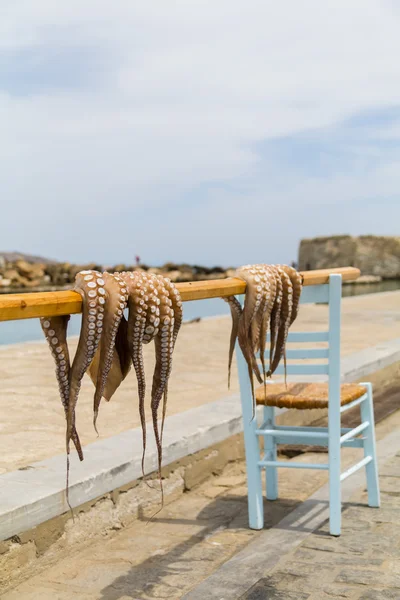 Pulpo secándose en un palo entre las sillas de la isla de Paros, Grecia — Foto de Stock