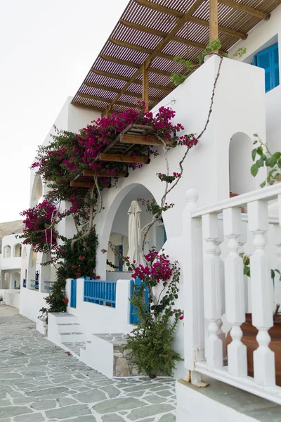 Traditionella grekiska öarna vita hus med blå dekoration och oleander rose bay blomma — Stockfoto