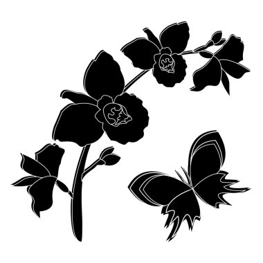 Orkide çiçek kelebek ile siyah silüeti. Orkide şube arka plan