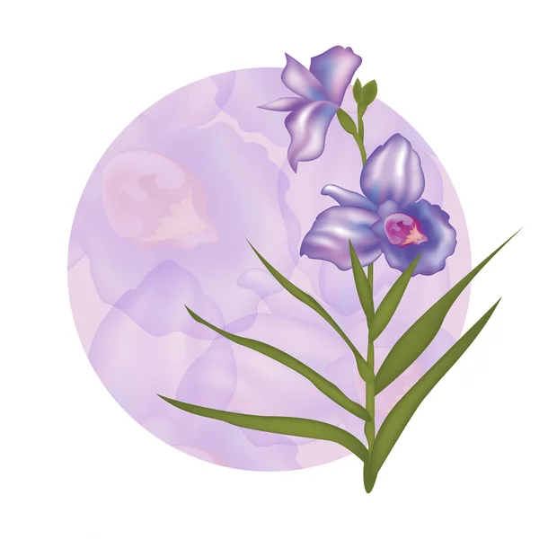 Открытка с изолированными фиолетовыми орхидеями. Векторный фон с цветами — стоковый вектор