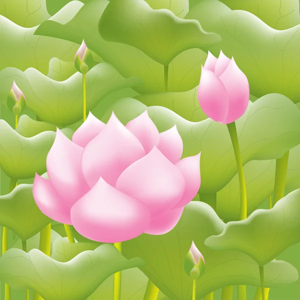 Розовые водяные лилии цветок лотоса или водяные лилии фон — стоковый вектор