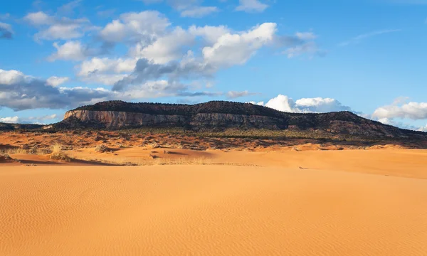 Vista de dunas de arena — Foto de Stock