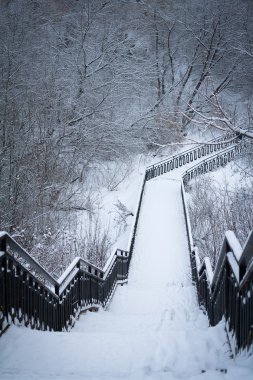 Eski Şehir Parkı Bridge'de