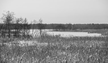 Çin mürekkeple boyalı manzara