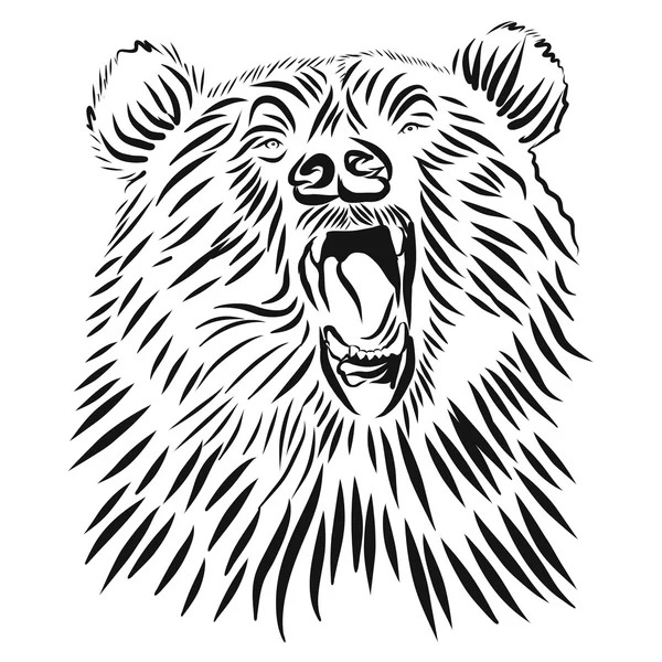 Wild grizzly, Hand drawn vector roaring bear. — Stock Vector