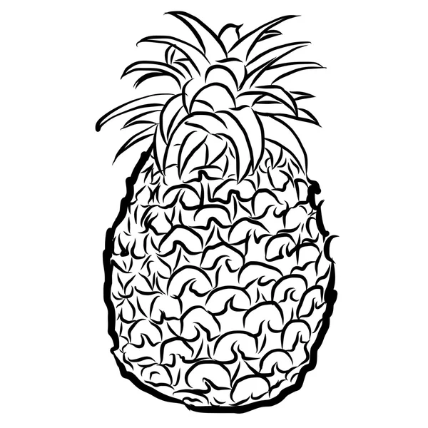 Pineapple Sketched Outline Vector Illustration — Stock Vector