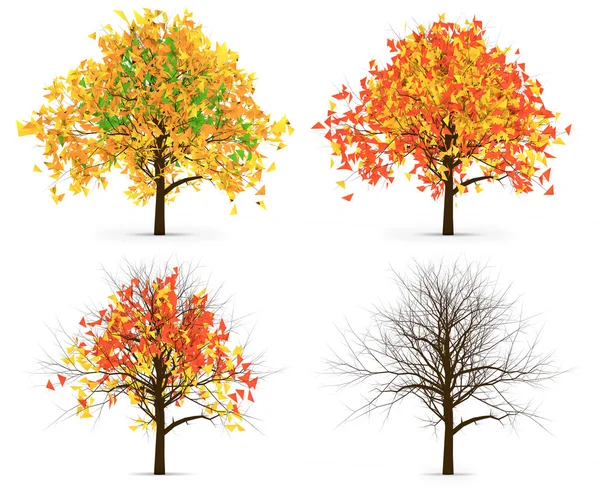 Four Autumn Trees Leaves Color Variation — Stock Photo, Image