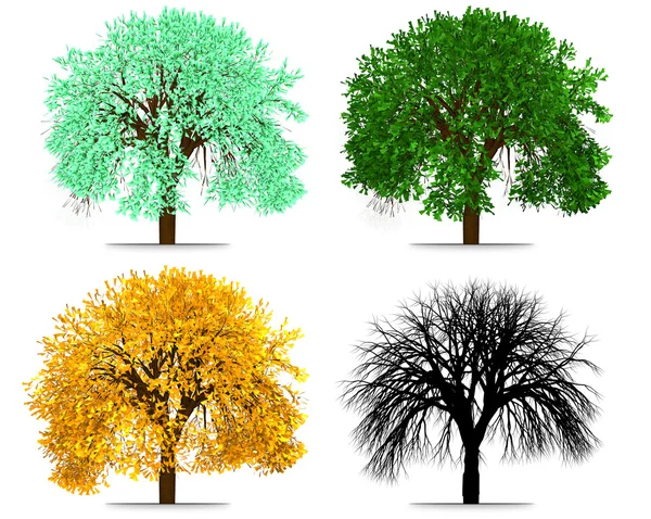 Four Seasons Tree isolated Abstract Rendering — Stock Photo, Image