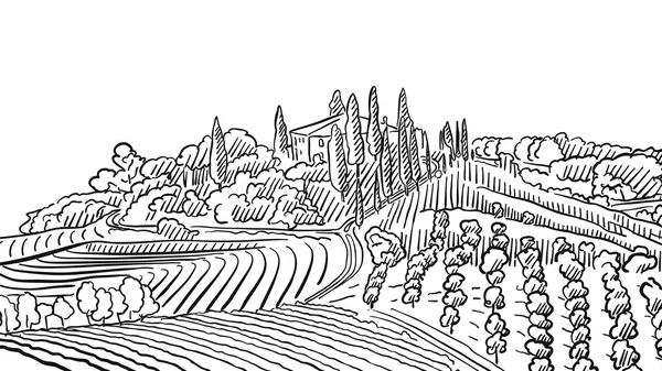 Provence landskap Apple växt och Vineyard — Stock vektor