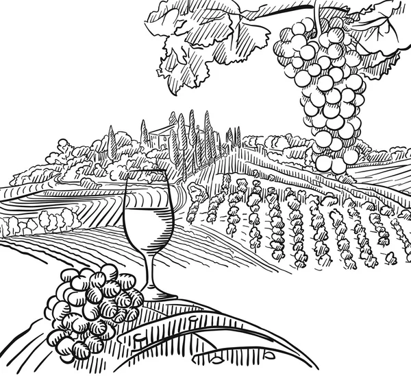 Composizione del vigneto con Uva e Bicchiere di Vite — Vettoriale Stock