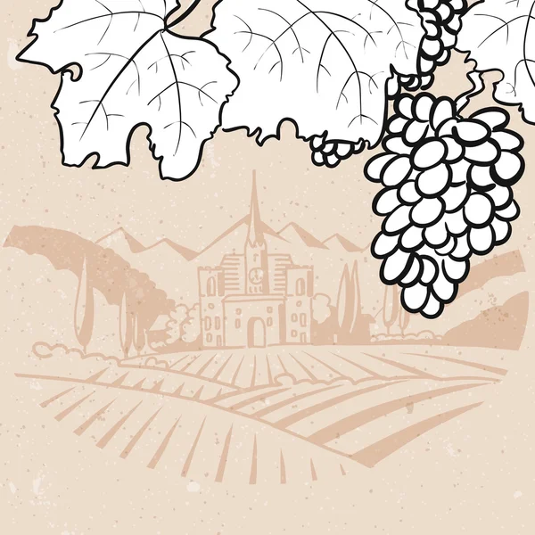 黑色和白色葡萄在老式维亚农场 — 图库矢量图片