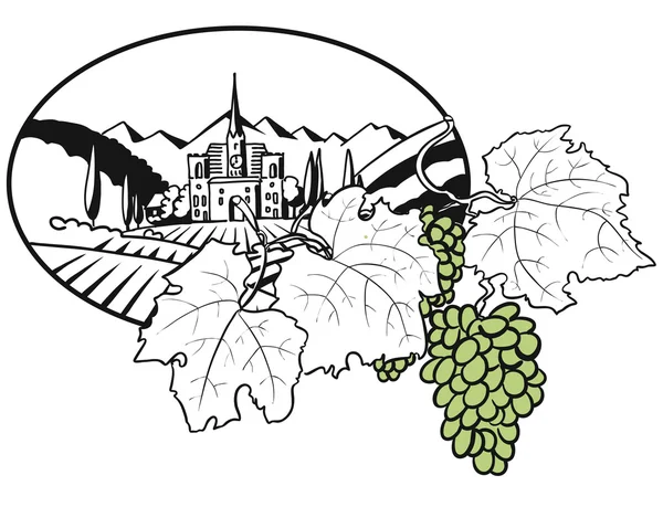 Vineyard Farm Cover Design con uve colorate — Vettoriale Stock