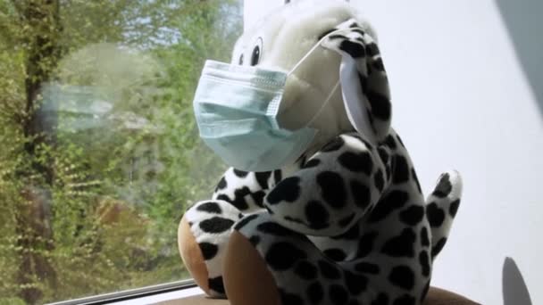 Leksakshund Som Bär Skyddande Medicinsk Mask Sittande Vid Ett Fönster — Stockvideo