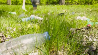 Genç bir kadın ormanda plastik topluyor. Parkta siyah çöp torbası olan aktivist. Çevre koruma kirliliği sorunları kavramı. Ekoloji