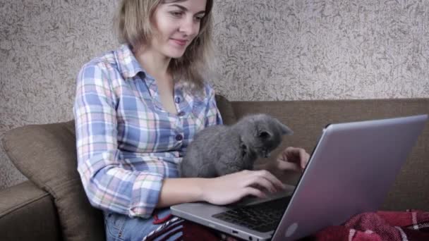 Młoda Kobieta Domu Siedzi Kanapie Laptopem Swoim Słodkim Brytyjskim Kotem — Wideo stockowe