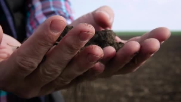 Agricultor Masculino Tem Solo Nas Mãos Conceito Agricultura Produtos Orgânicos — Vídeo de Stock