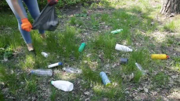 Genç Bir Kadın Ormanda Plastik Topluyor Parkta Siyah Çöp Torbası — Stok video
