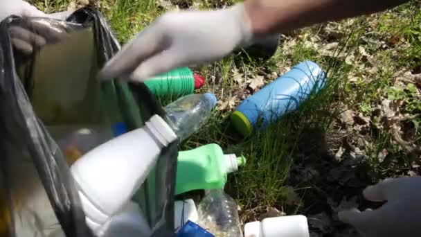Mannelijke Vrouwelijke Vrijwilligers Verzamelen Afval Een Stadspark Bos Een Grote — Stockvideo