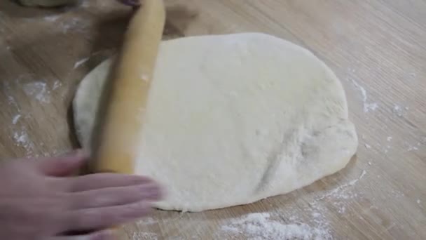 Une Femme Foyer Cuisinier Avec Rouleau Pétrit Pâte Pour Les — Video