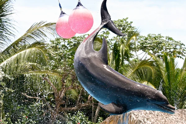 Dolphin in flight — Stock Photo, Image