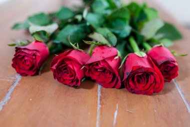 Gül ahşap zemin üzerinde