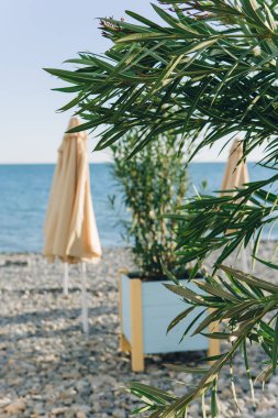 Yazın deniz güzeldir.