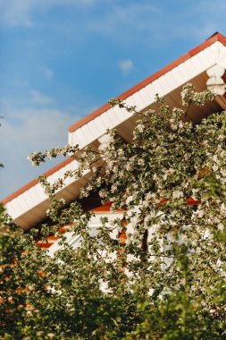 Çiçek açan bahçedeki yazlık evde.