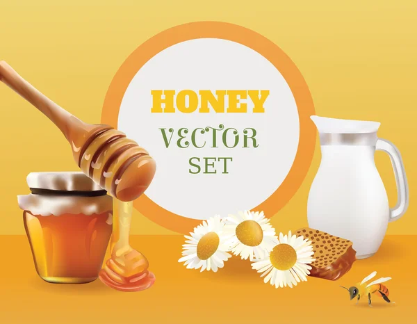 Vector Honey Set Illustrazione realistica. vaso, banca, ape, nido d'ape, camomilla — Vettoriale Stock