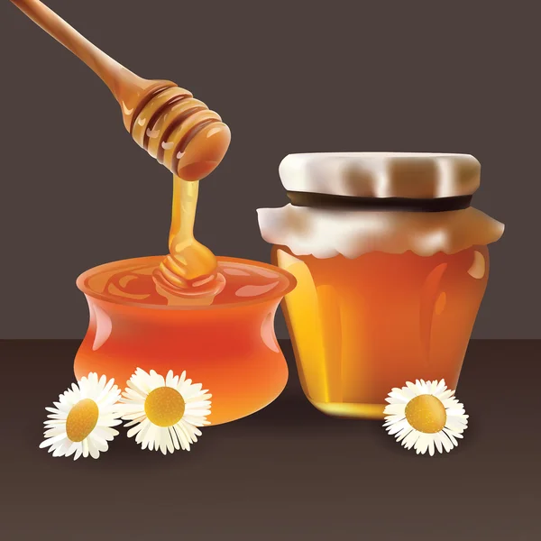 Vector Honey Set Illustrazione realistica. Barattolo, Bank, camomilla. isolato su sfondo bianco — Vettoriale Stock