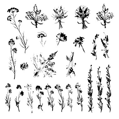Vector Set of Hand Drawn Herds Silhouette Isolated On White Background