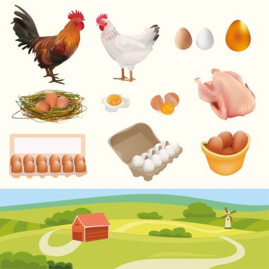 Horoz, tavuk, tavuk, yuva, beyaz, turuncu, altın yumurtlayan, kırık yumurta, omlet ve manzara ile çiftlik küme. Beyaz arka plan vektör illüstrasyon izole
