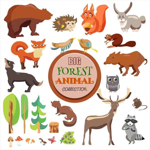 Big Forest Funny Animals Set. Colección vectorial, aislada sobre fondo blanco, zorro, ardilla, oso, lobo y otros , — Vector de stock