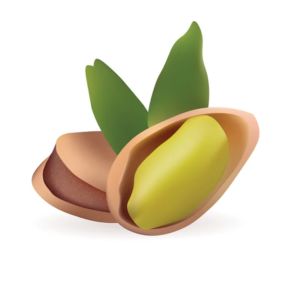 รูปแบบเวกเตอร์ที่สมจริงของ Pistachio ถูกแยกจากไอคอนพื้นหลังสีขาว — ภาพเวกเตอร์สต็อก