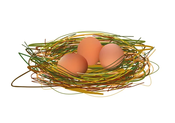 Uova realistiche nel nido. Illustrazione vettoriale isolata su icona di sfondo bianco — Vettoriale Stock