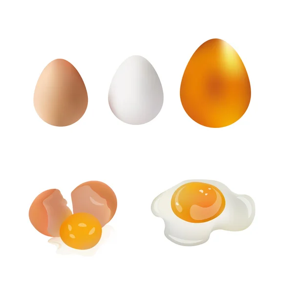 Wit, Bruin, Goud Ei, Gebroken Ei en Gebakken Eieren Vector Illustratie. Geïsoleerd op witte achtergrond pictogram — Stockvector