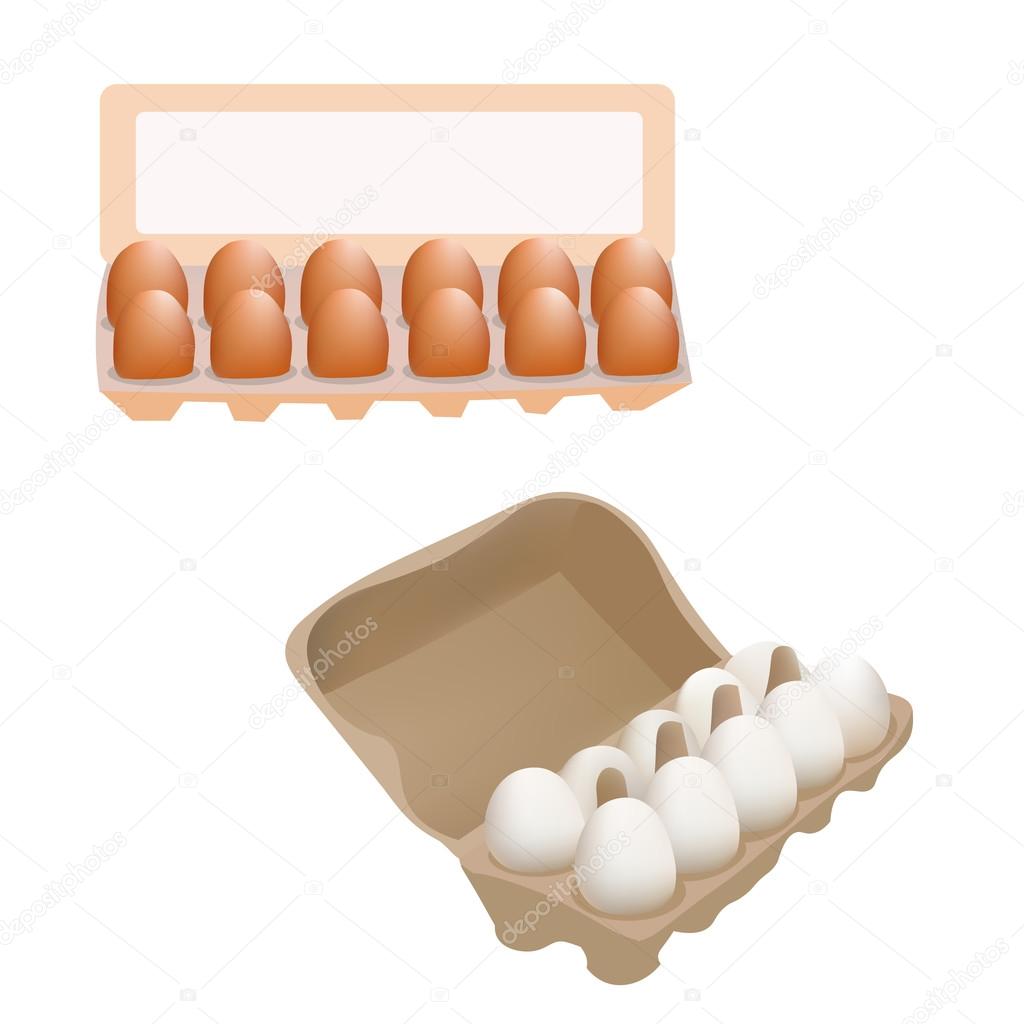 Fresh Chicken Eggs In Box Package isolated On White Background Vector Illustration Icon
