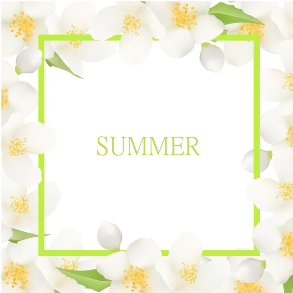 Fundo de verão fresco com flores brancas de jasmim. Eleme design —  Vetores de Stock