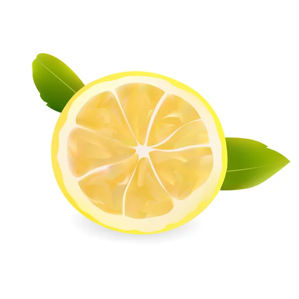 Media rebanada de limón. ilustración vectorial realista . — Vector de stock