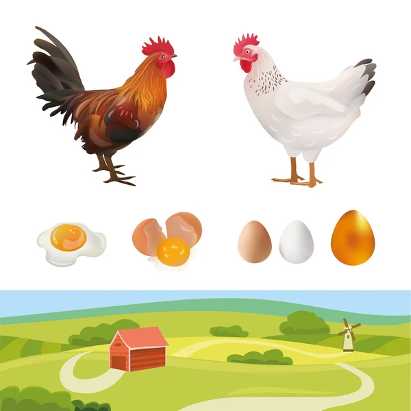 Set Agricoltura. Gallo realistico, Gallina, Paesaggio agricolo, Uova. Illustrazione vettoriale. Azienda agricola . — Vettoriale Stock