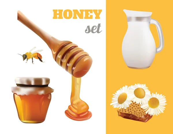 Vector Honey Set Realistic Illustration (en inglés). Tarro, banco, abeja, panal, manzanilla, miel que vierte del diseño del palillo de madera — Vector de stock