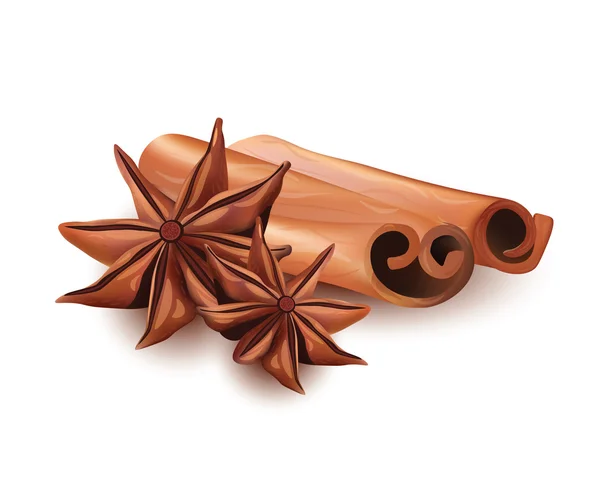 Icono de conjunto aislado realista vectorial del palillo de canela y la estrella Anice sobre fondo blanco . — Vector de stock