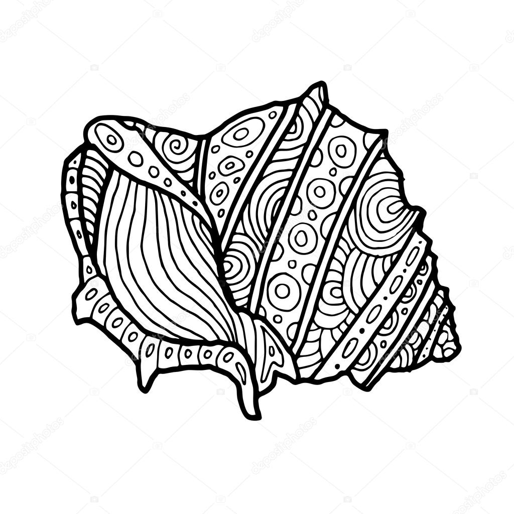 Decorative Zentangle Sea Shell illustration. Outline drawing