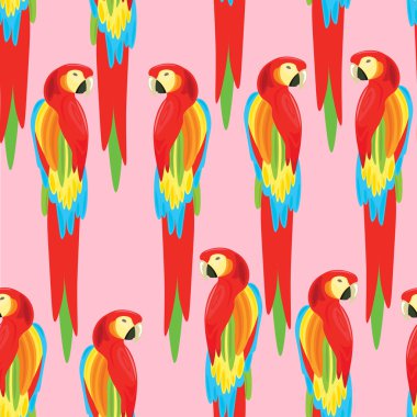 Papağan Seamless modeli. Tropikal yaz illüstrasyon.