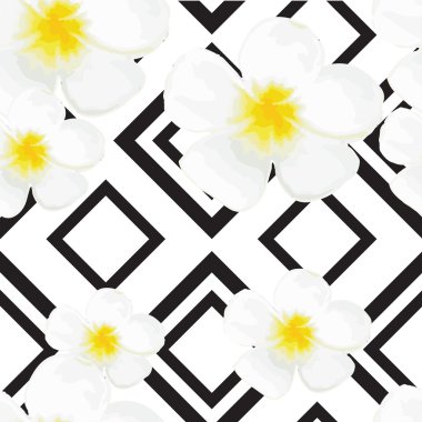 Geometrik süsleme ile parlak beyaz Seamless modeli. Siyah çizgiler. Vektör çizim